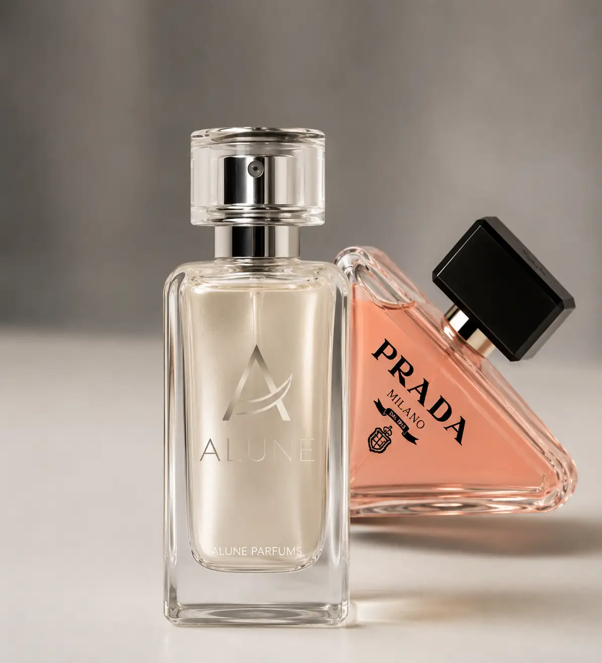 Prada Paradox BY alune
